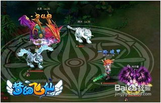 神兽再现 梦幻飞仙 里好玩的道具