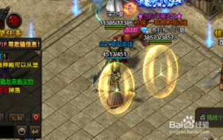 网页游戏《蓝月传奇》仓库密码设置指南